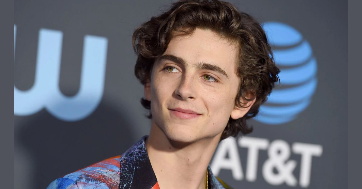 Timothee Chalamet Awards And Nominations