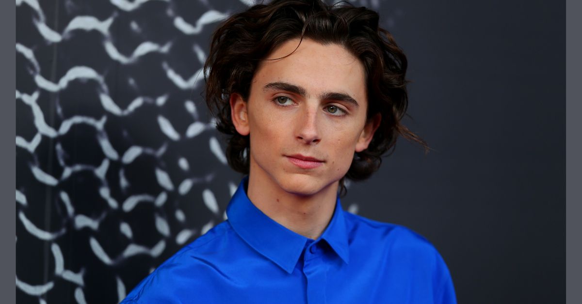 Timothee Chalamet's Net Worth